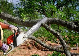 Seasonal Cleanup (Spring/Fall) in Northville, NY